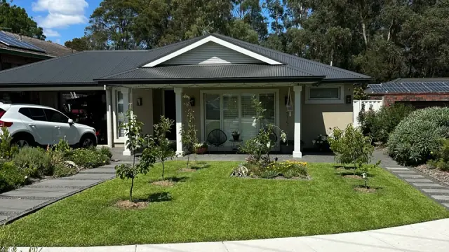 Prune Perfect