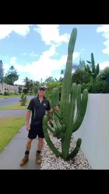 Puregreen Lawn & Property Maintenance cover