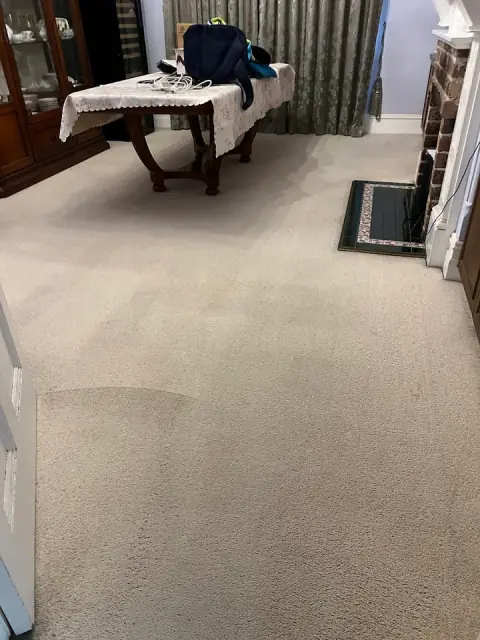 Purity Carpet Cleaning cover