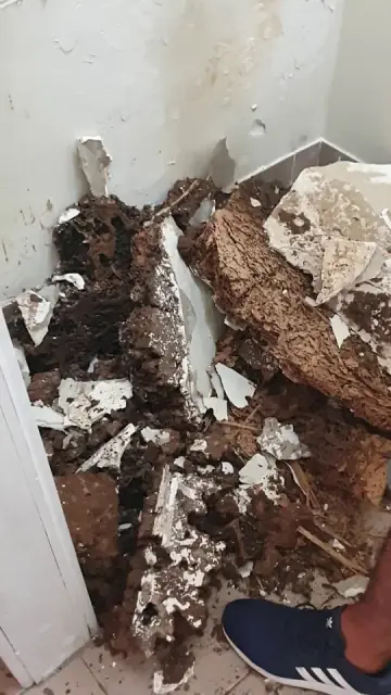 Quality Pest Management & Solutions cover