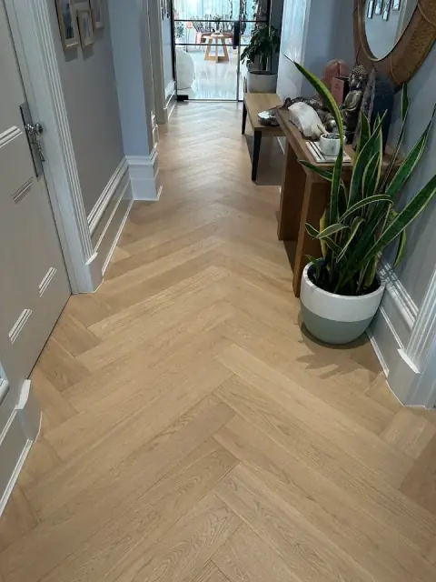 Queen Bowie Cleaning Co