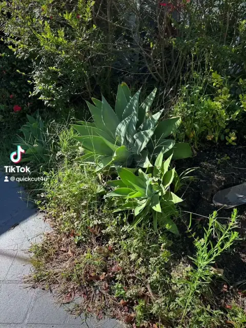 Quick-Cut Lawn & Garden Services cover