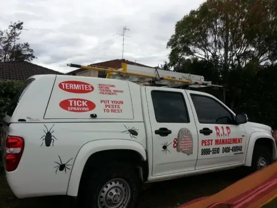 R.I.P. Pest Management Pty Ltd cover