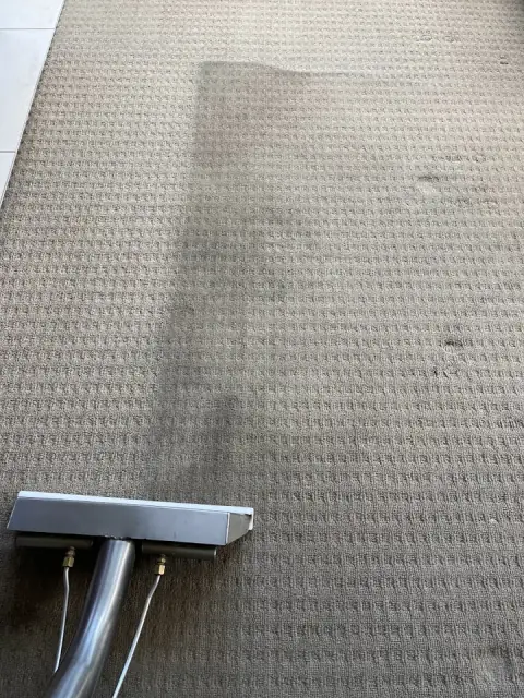 Radius Carpet & Tile Cleaning cover