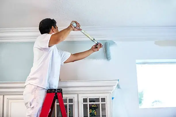 Rafael`s Painting & Maintenance cover