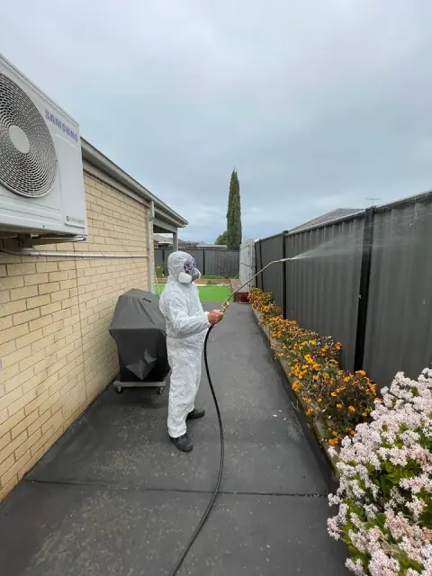 Raid Pest Control