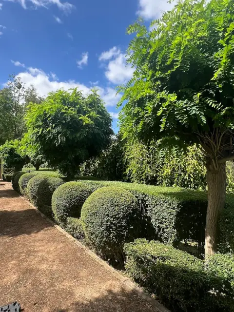 Rakin' Acres