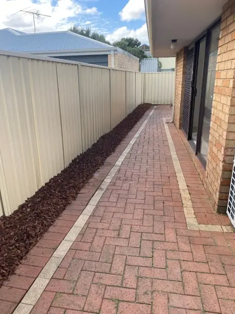 Raptor Mowing & Automotive Detailing