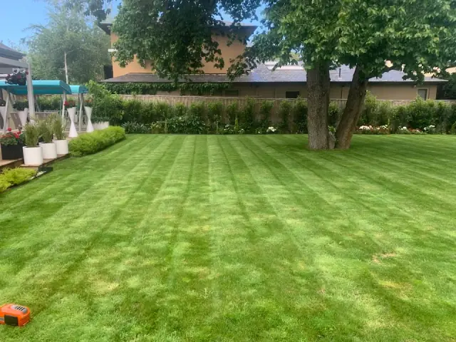 Ratten & Rowe Lawn and Garden Maintenance