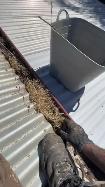Real Fresh Cleaning cover