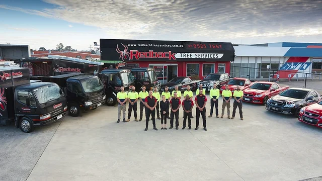 Redback Tree Services