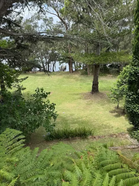 Reef & Leaf Property And Lawn Care cover