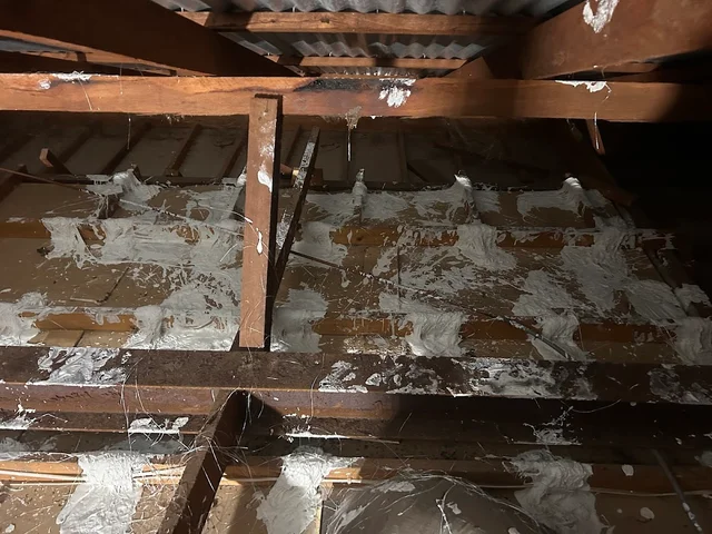 Reform Plaster cover