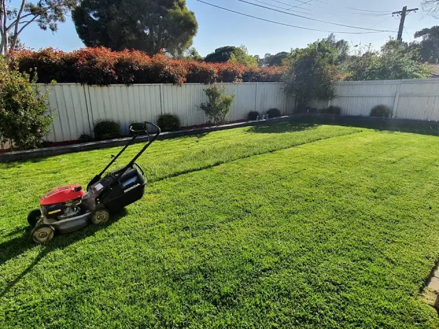 Replenish Landscaping cover