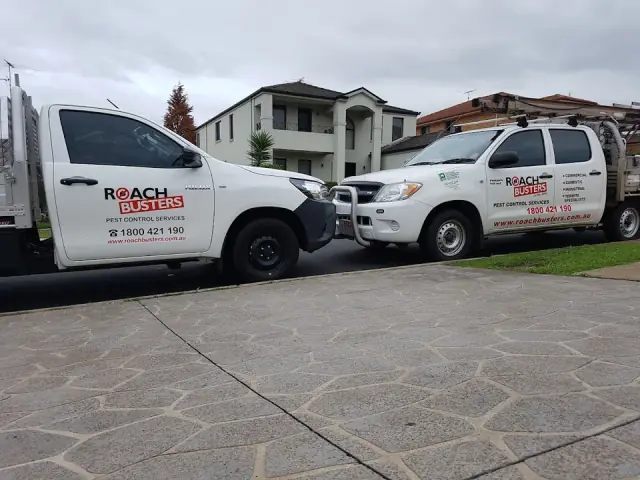 Roach Busters Pest Control Services