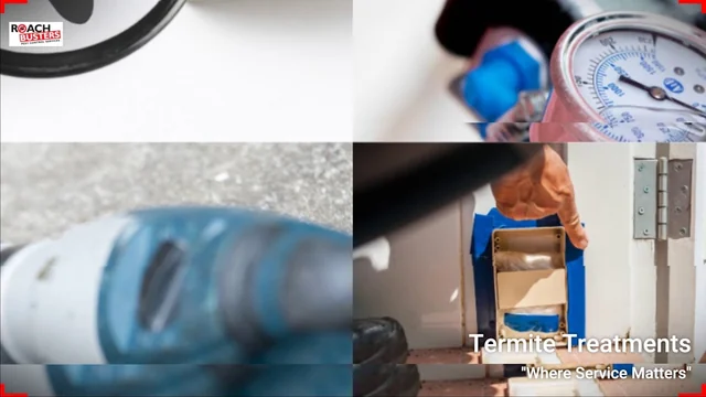 Roach Busters Pest Control Services cover