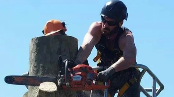 Rob's Tree Service