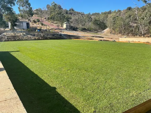 Rockingham Lawn Renovations