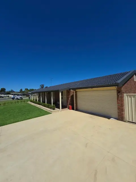 Roof N Clean cover