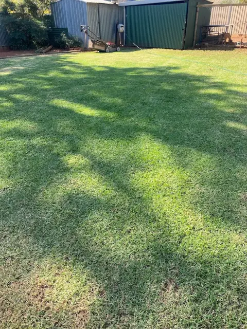 RPS Lawn And Landscaping cover