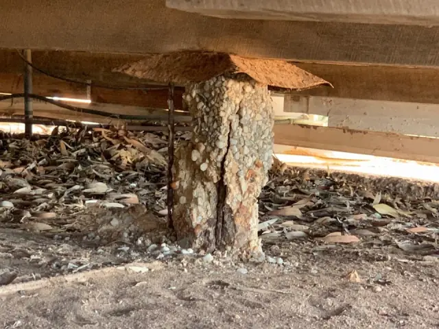 SA Residential Building Inspections cover