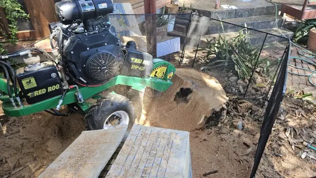 SA Tree and Garden Services cover