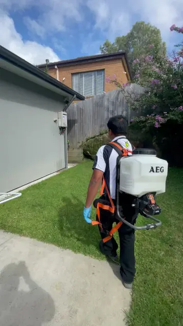 Safe Pest Control Sydney cover