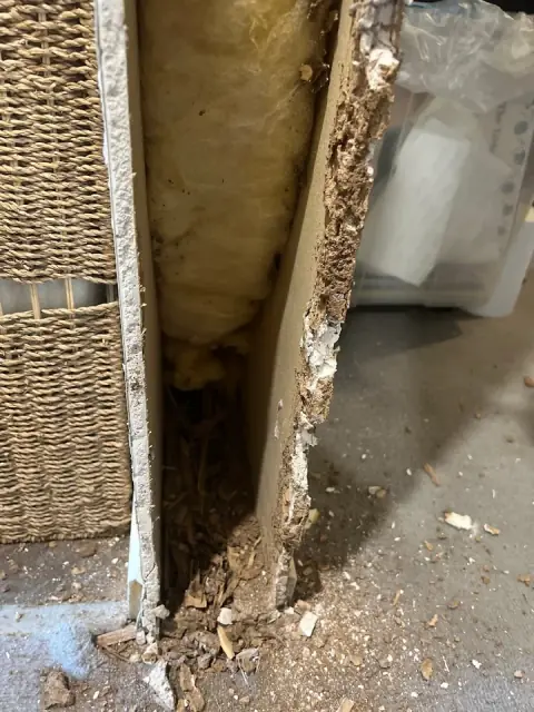 Safe Side Termite and Pest Control cover