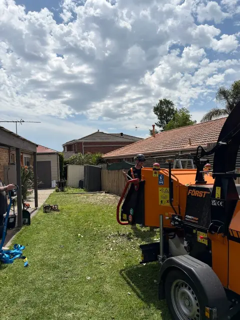 Safer Trees Melbourne