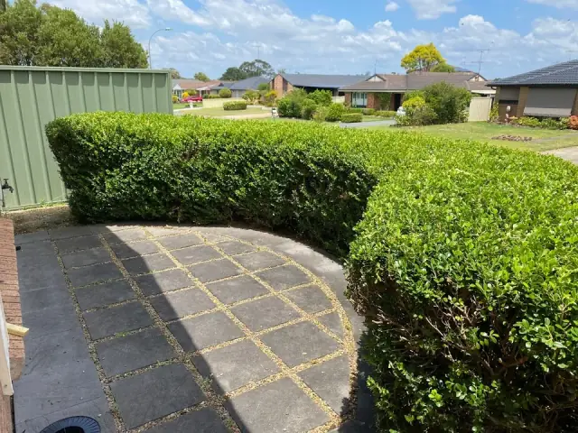 Sam’s Mow & Grow cover