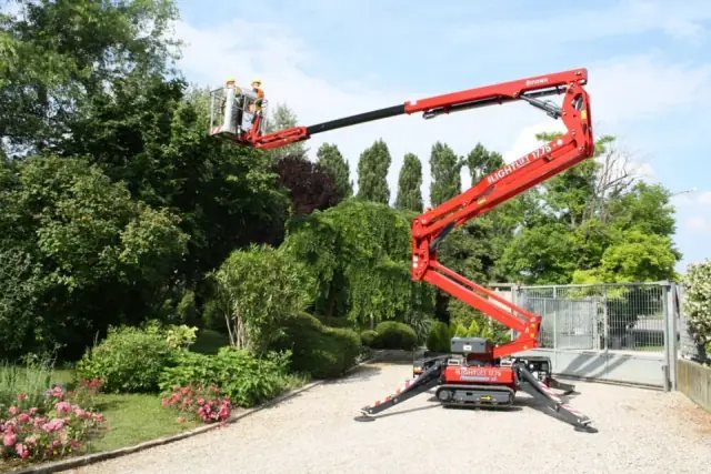 Same Day Tree Works cover