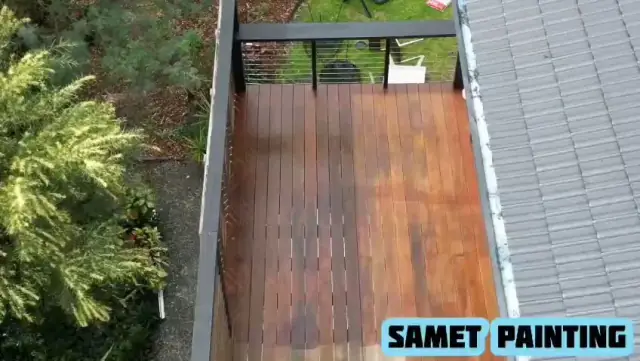 Samet Painting cover