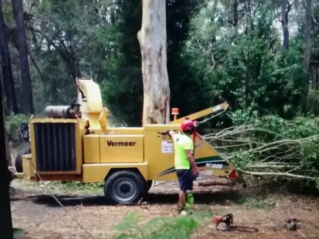samford tree service