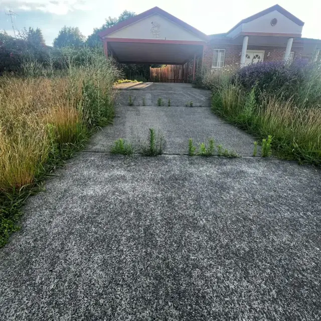 Sams Lawn Services cover