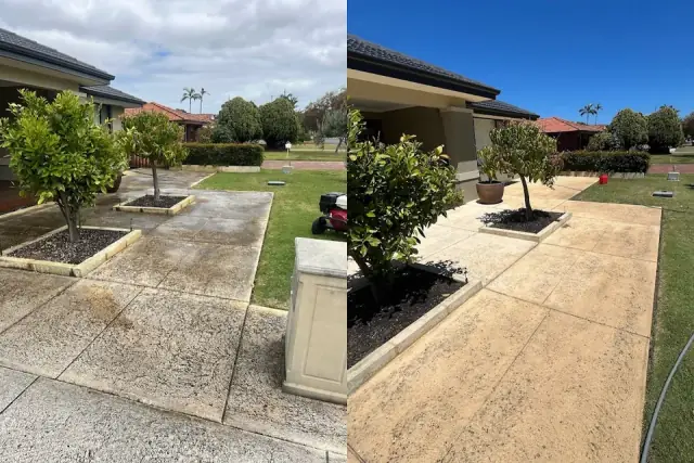 Scarborough Surface Solutions