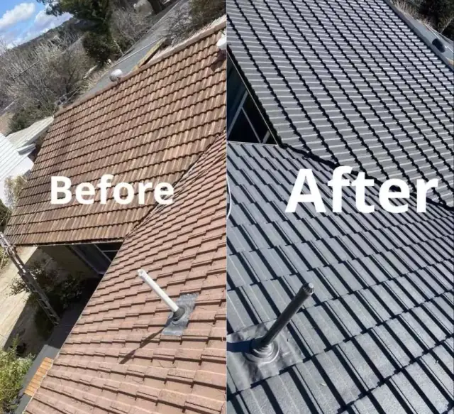 Scorpion Roofing cover