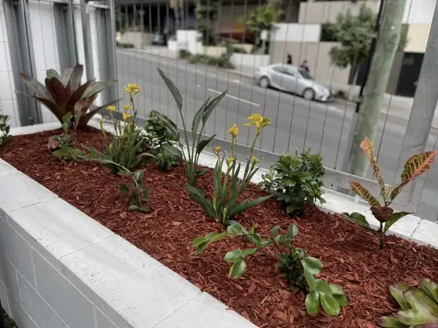Seed'd by Mark - Gardening Services