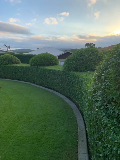 Selva Lawns & Gardens