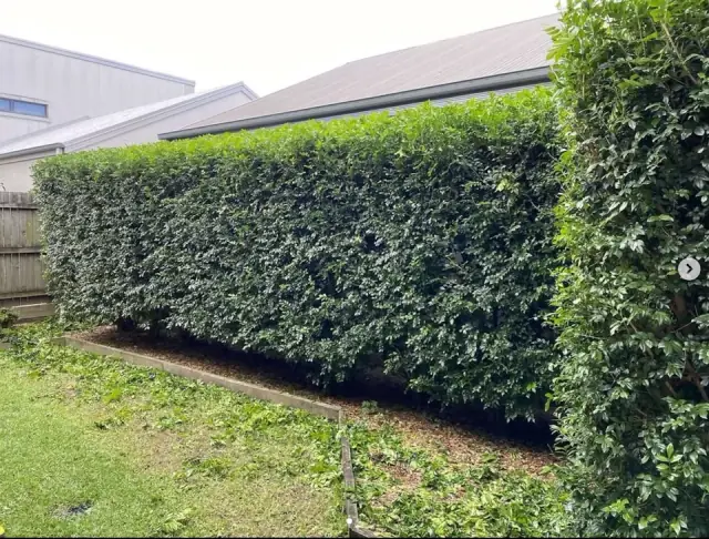 SEQ Garden Maintenance