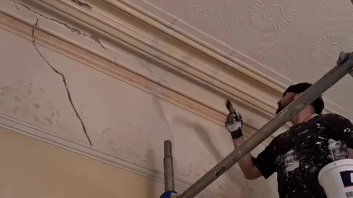 Shauns Plastering cover