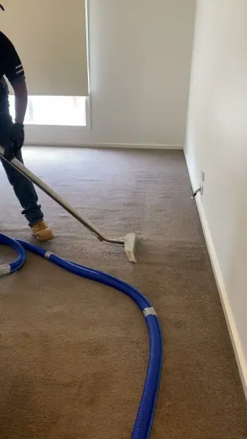 Shelly smart cleaning services cover