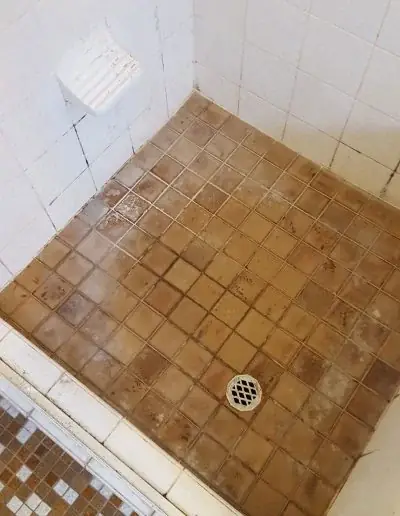 Shower Sealed Solutions cover