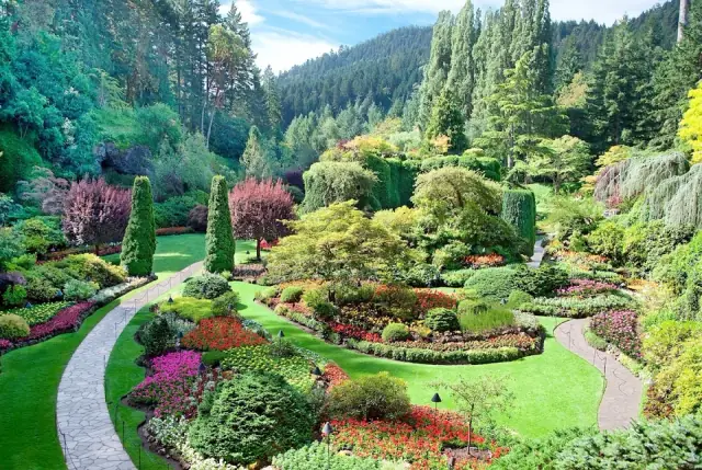 Silverfern Landscaping
