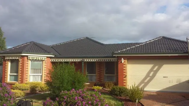 Silverline Roofing cover