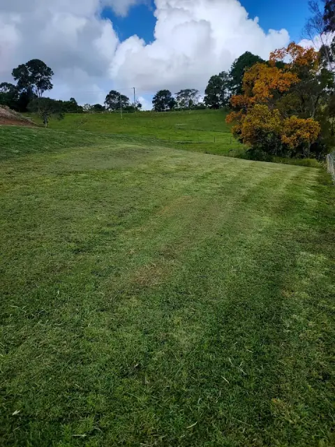 Simply Lawns & Property Maintenance
