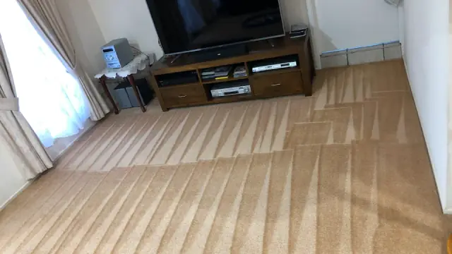 Smart Carpet Cleaning And Pest Control cover