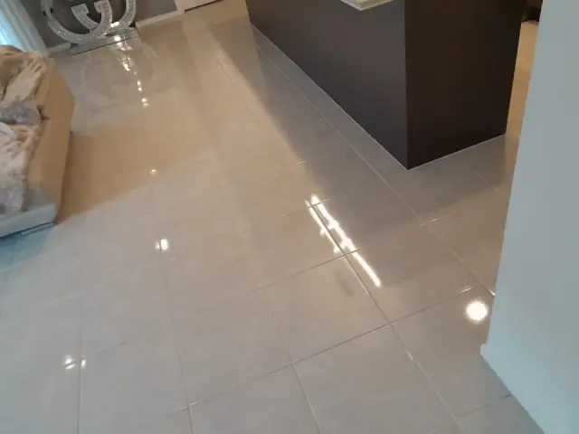 Sonic pro carpet and upholstery cleaning cover