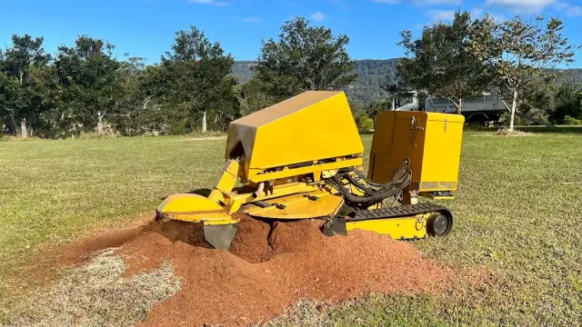 South Coast Stump Grinding