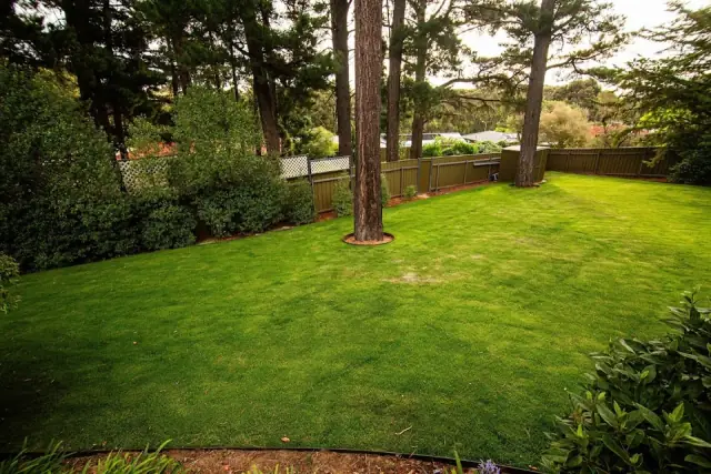 Southern Earth Landscaping cover