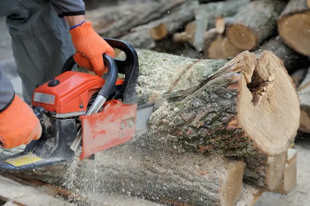 Southern Tree Care cover